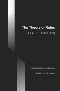 bokomslag The Theory of Rules