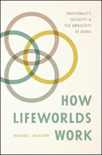 bokomslag How Lifeworlds Work: Emotionality, Sociality, and the Ambiguity of Being