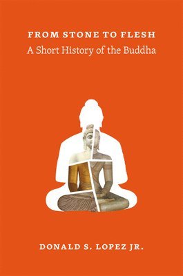 Donald S. Lopez Jr. - From Stone to Flesh, Inbunden
