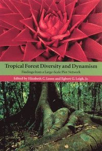 bokomslag Tropical Forest Diversity and Dynamism