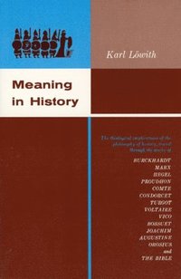 bokomslag Meaning in History