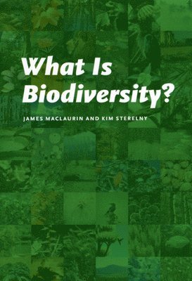 What Is Biodiversity? 1