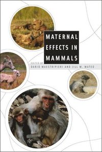 bokomslag Maternal Effects in Mammals