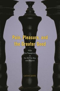 bokomslag Pain, Pleasure, and the Greater Good