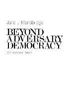 bokomslag Beyond Adversary Democracy