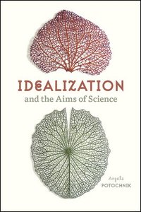bokomslag Idealization and the Aims of Science
