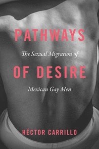 bokomslag Pathways of Desire