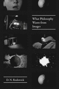 bokomslag What Philosophy Wants from Images