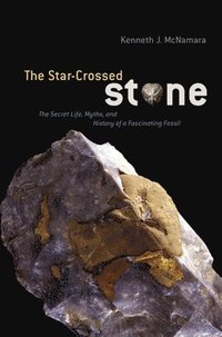 bokomslag The Star-Crossed Stone