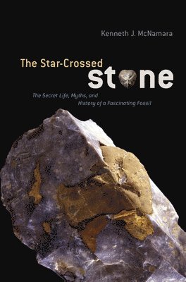 bokomslag Star-Crossed Stone