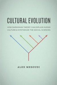 bokomslag Cultural Evolution - How Darwinian Theory Can Explain Human Culture and Synthesize the Social Sciences
