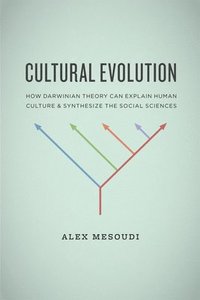 bokomslag Cultural Evolution  How Darwinian Theory Can Explain Human Culture and Synthesize the Social Sciences