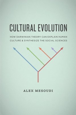 bokomslag Cultural Evolution - How Darwinian Theory Can Explain Human Culture and Synthesize the Social Sciences