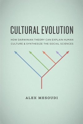 bokomslag Cultural Evolution  How Darwinian Theory Can Explain Human Culture and Synthesize the Social Sciences