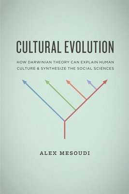 bokomslag Cultural Evolution