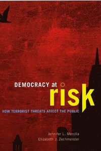 bokomslag Democracy at Risk