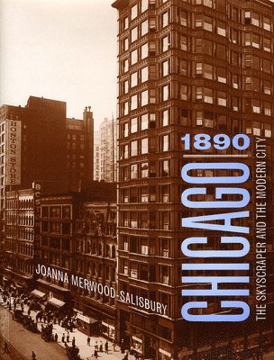 Chicago 1890 1