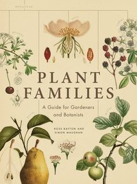 bokomslag Plant Families