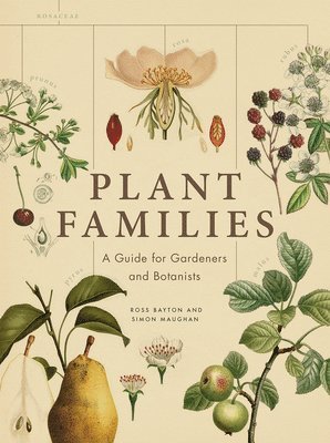 bokomslag Plant Families