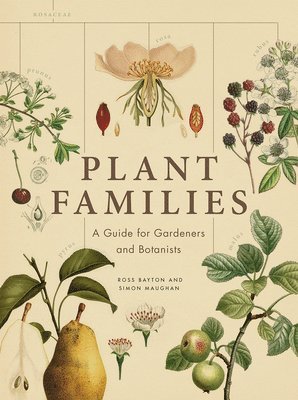 bokomslag Plant Families: A Guide for Gardeners and Botanists