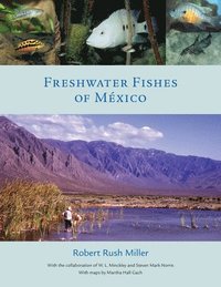 bokomslag Freshwater Fishes of Mexico