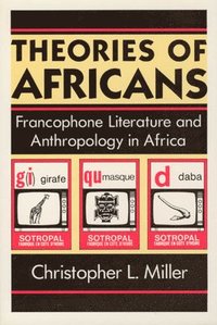 bokomslag Theories of Africans