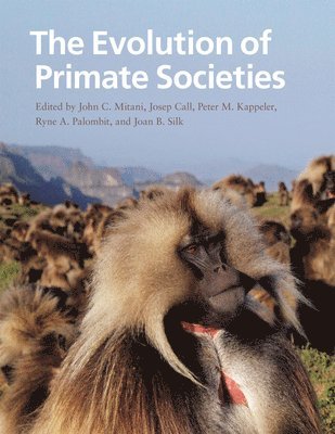 John C. Mitani, Josep Call, Peter M. Kappeler, Ryne A. Palombit, Joan B. Silk - Evolution of Primate Societies, Häftad