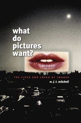W. J. T. Mitchell - What Do Pictures Want?, Häftad