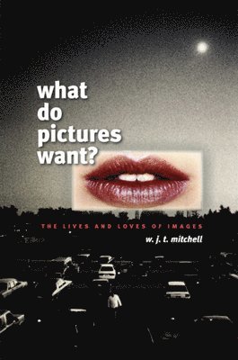 What Do Pictures Want? 1