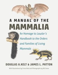 bokomslag A Manual of the Mammalia