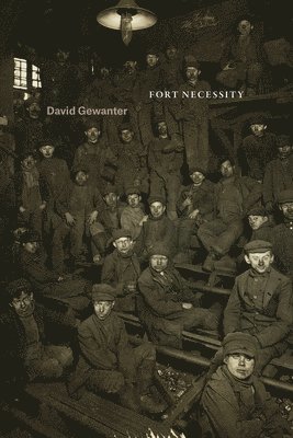 David Gewanter - Fort Necessity, Häftad