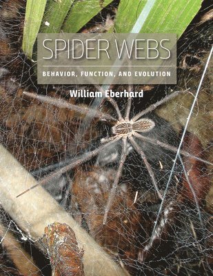 William Eberhard - Spider Webs, Inbunden