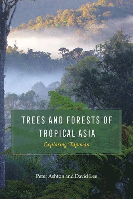 bokomslag Trees and Forests of Tropical Asia