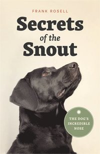 bokomslag Secrets of the Snout