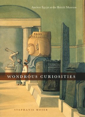 bokomslag Wondrous Curiosities