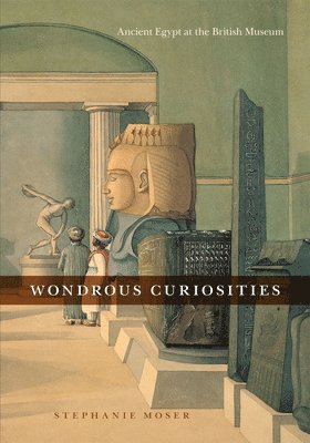 bokomslag Wondrous Curiosities