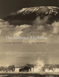 bokomslag The Amboseli Elephants