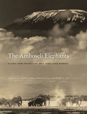 Cynthia J. Moss, Harvey Croze, Phyllis C. Lee - The Amboseli Elephants, Inbunden