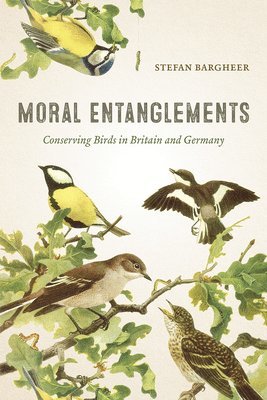 Moral Entanglements 1