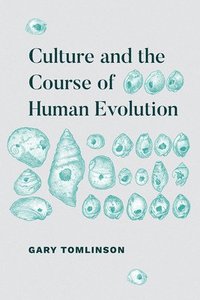 bokomslag Culture and the Course of Human Evolution