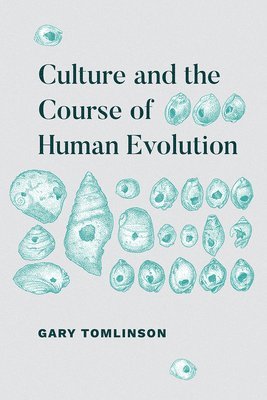 bokomslag Culture and the Course of Human Evolution