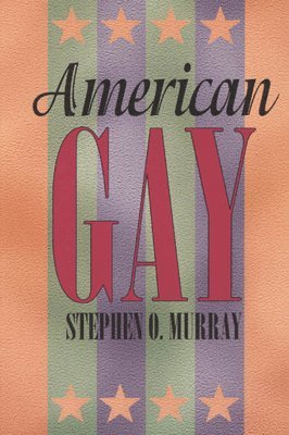 Stephen O. Murray - American Gay, Inbunden