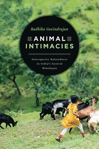 bokomslag Animal Intimacies: Interspecies Relatedness in India's Central Himalayas
