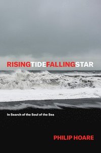 bokomslag Risingtidefallingstar: In Search of the Soul of the Sea