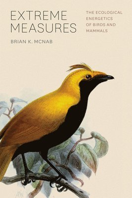 bokomslag Extreme Measures - The Ecological Energetics of Birds and Mammals
