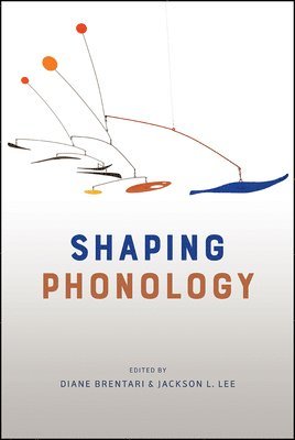 bokomslag Shaping Phonology