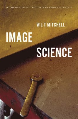 W. J. T. Mitchell - Image Science, Häftad