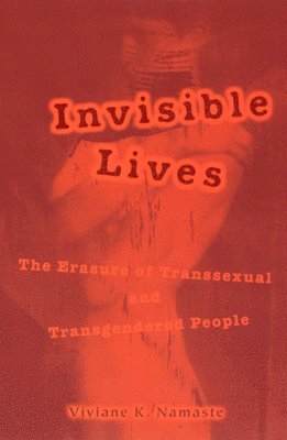 bokomslag Invisible Lives