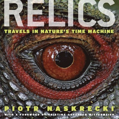 Piotr Naskrecki - Relics, Inbunden