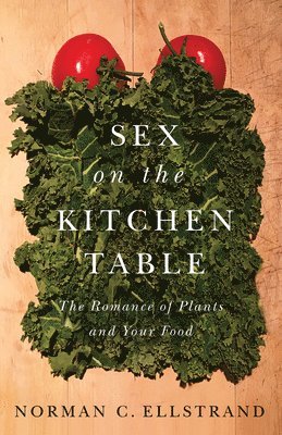 Sex on the Kitchen Table 1